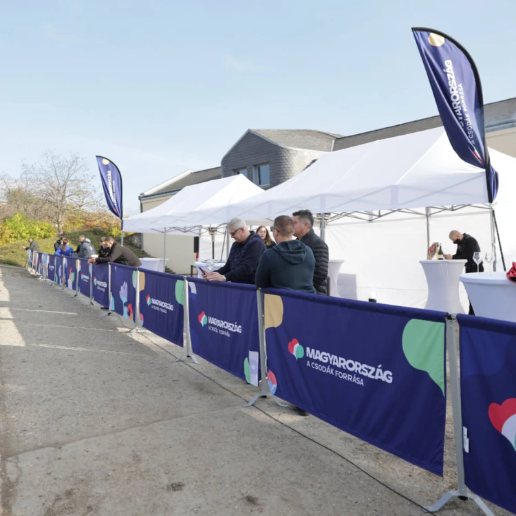 Namioty ekspresowe 3x6