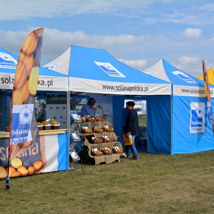 namiot-reklamowy-3x45-z-nadrukiem-solana.jpg