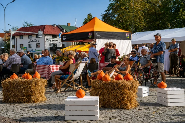namiot-reklamowy-2x2-z-nadrukiem-norway-grants.webp