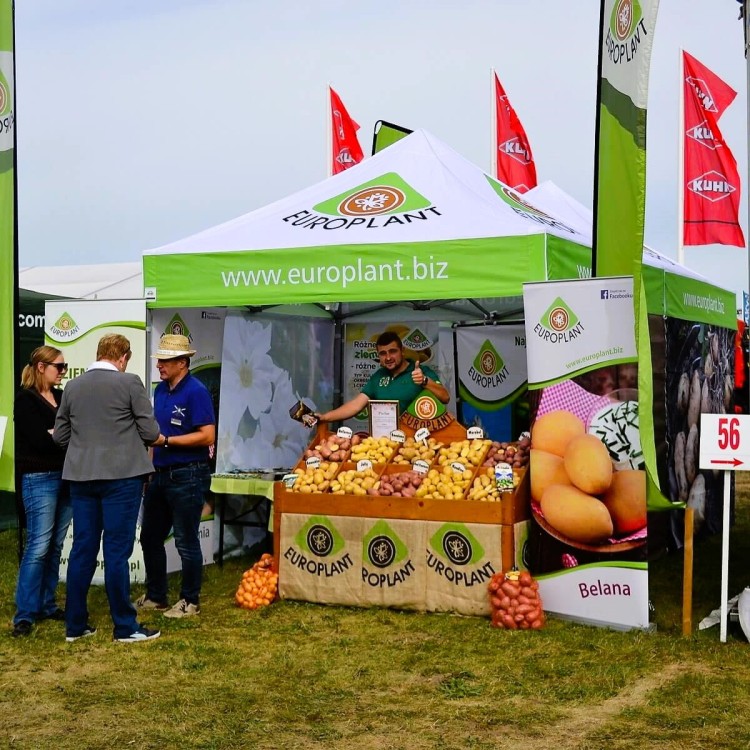 Rollup 85x200 cm Belana