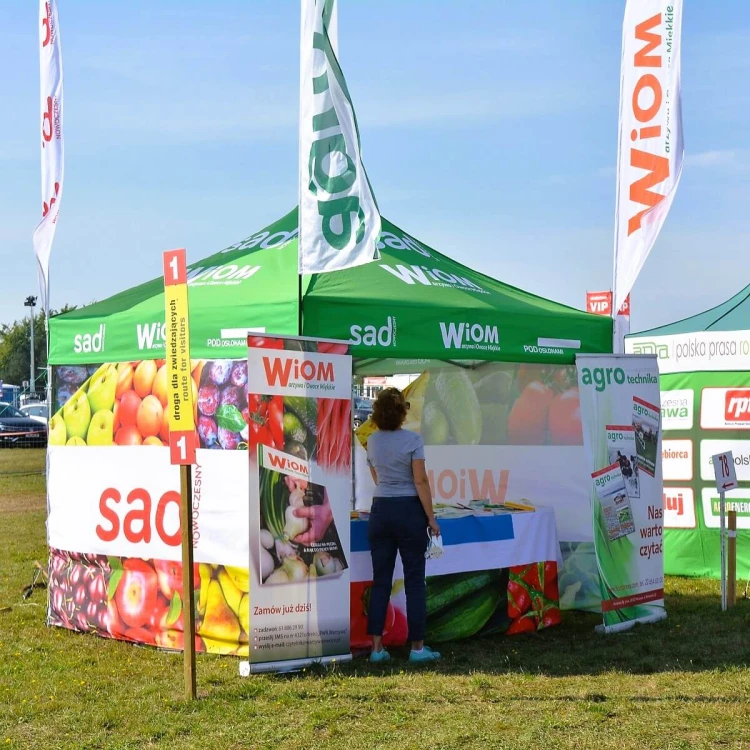 Rollup 85x200 cm  Wiom