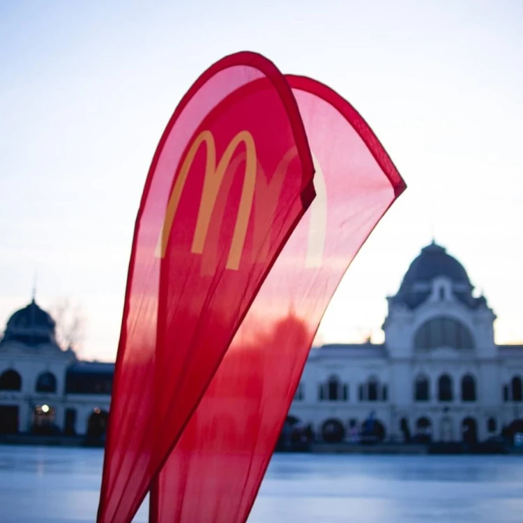 Flagi reklamowe Flyer M 90x235 cm z M