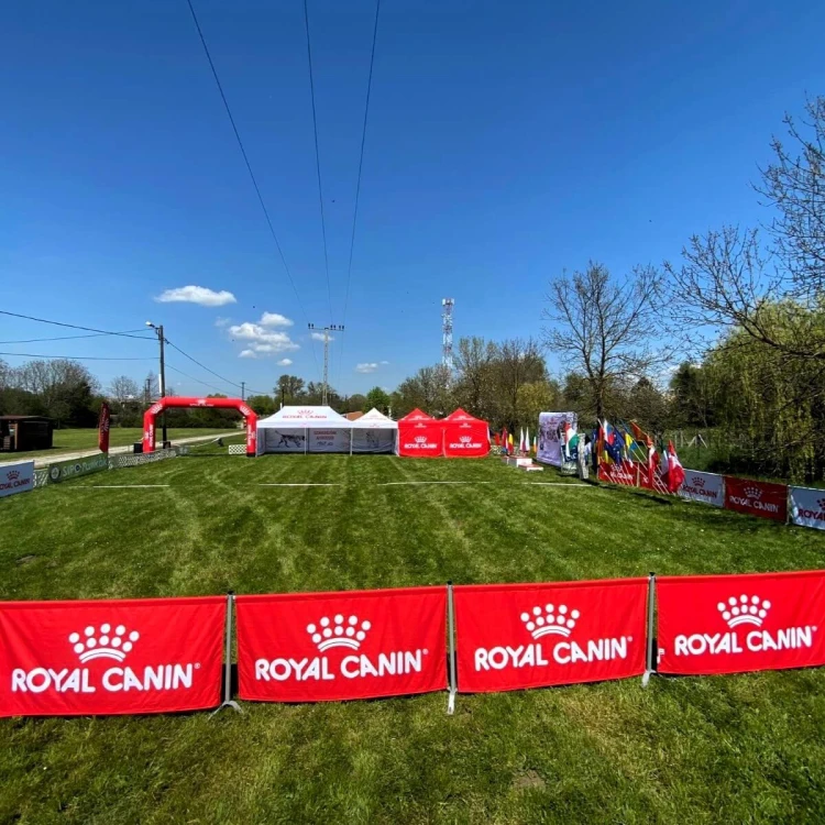 Płotki reklamowe z nadrukiem Royal Canin